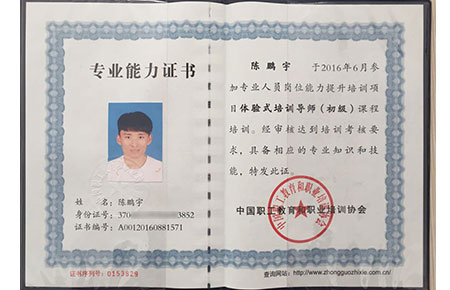 教练专业能力证书