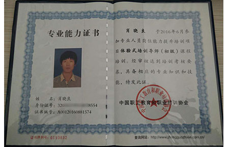 教练专业能力证书